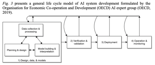 OECD AI Lifecycle.png